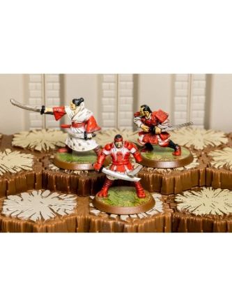HEROSCAPE: IZUMI SAMURAI (USATO)