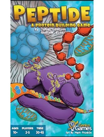 PEPTIDE: A PROTEIN BUILDING GAME