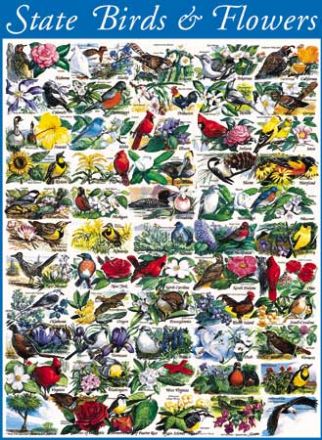 PUZZLE 1000: STATE BIRDS & FLOWERS