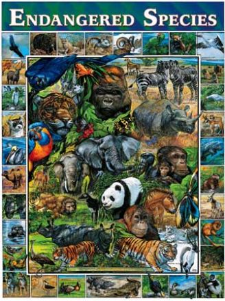 PUZZLE 1000: ENDANGERED SPECIES