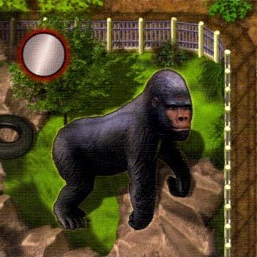GORILLA EXPANSION