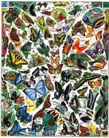 PUZZLE 1000: BUTTERFLIES OF THE WORLD