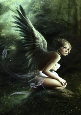 PUZZLE 1000: DELON, FOREST