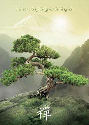 PUZZLE 1000: ALBERO ZEN