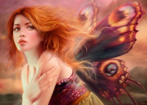 PUZZLE 1000: DELON, BUTTERFLY WINGS