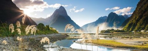 PUZZLE 1000: MILFORD SOUND
