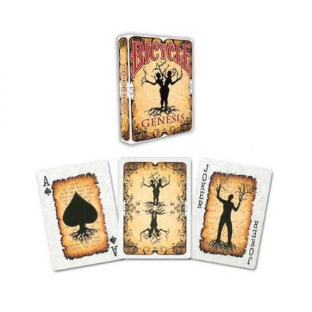 CARTE BICYCLE GENESIS