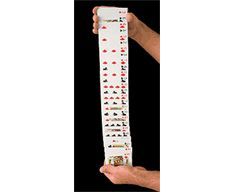 CARTE BICYCLE MAZZO ELETTRICO