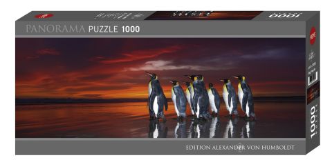 PUZZLE 1000 PANORAMA: KING PENGUINS