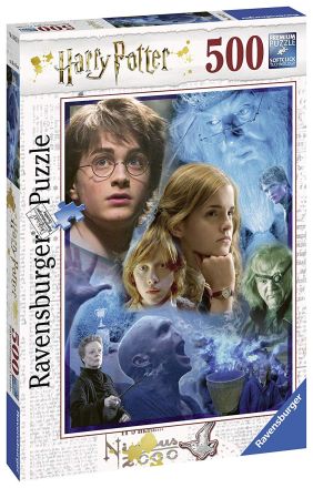 PUZZLE 500: HARRY POTTER IN HOGWARTS