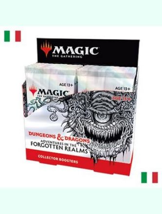 MTG FORGOTTEN REALMS COLLECTOR (Box 12)