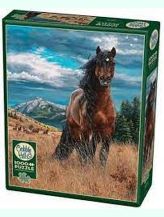 FREEDOM (1000 pezzi)