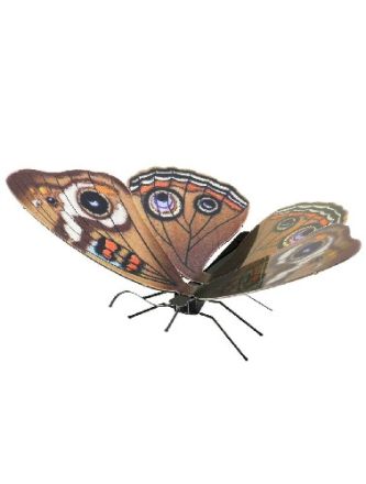 METAL EARTH: BUCKEYE BUTTERFLY