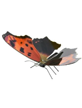 METAL EARTH: EASTERN COMMA