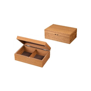 BOX FOR CHESS MEDIA