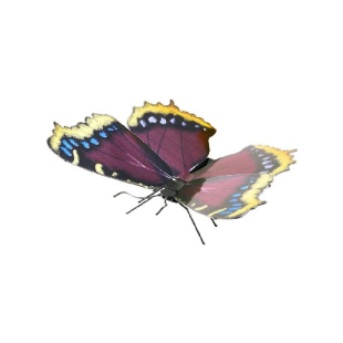 METAL EARTH: MOURNING CLOAK