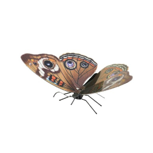 METAL EARTH: BUCKEYE BUTTERFLY