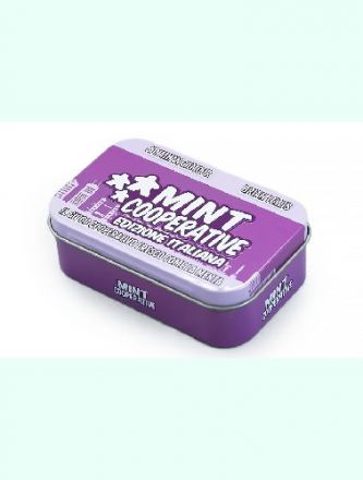 MINT COOPERATIVE (ed.italiana)
