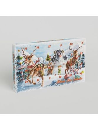 CALENDARIO DELL'AVVENTO 