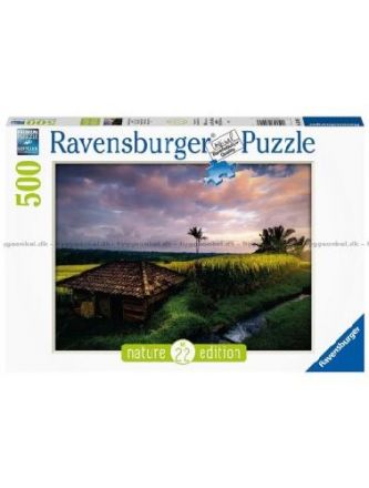 PUZZLE 500 PZ: RISAIE A BALI