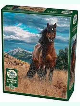 FREEDOM (1000 pezzi)